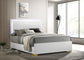 Marceline Wood Full LED Panel Bed White