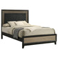 Valencia Wood Eastern King Panel Bed Black